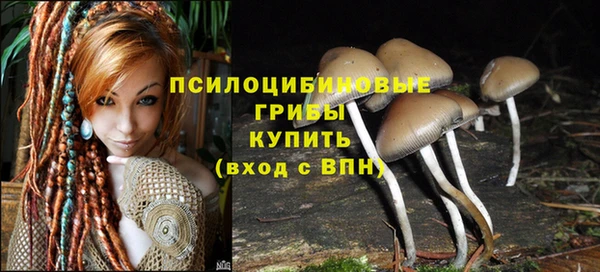 гидропоника Вяземский