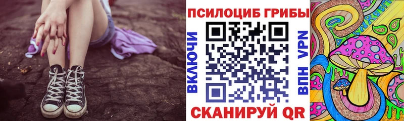 Галлюциногенные грибы Magic Shrooms  blacksprut сайт  Каргополь 