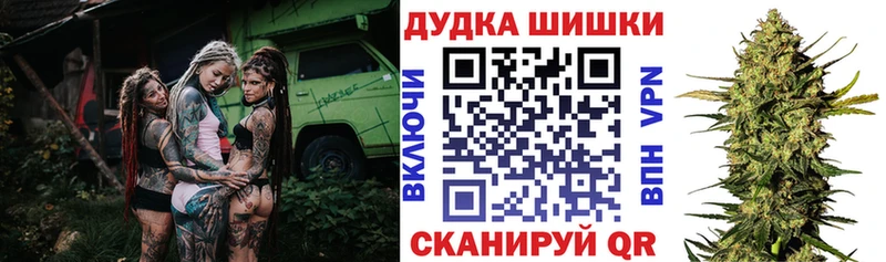 МЕГА   Каргополь  Конопля сатива 